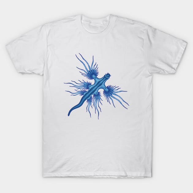 Drawing of a Glaucus Atlanticus T-Shirt by Modern Medieval Design